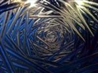 Blue Thicket